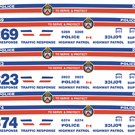 Toronto, Ontario, Canada Police Decals (older graphics)